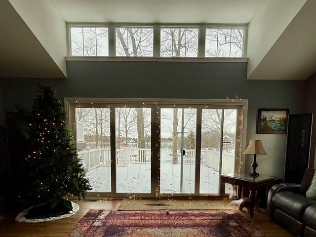 doorway to outside featuring a healthy amount of sunlight, a high ceiling, and hardwood / wood-style flooring