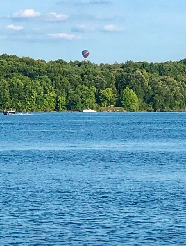 9471 Ridge Rd, Goodrich, MI 48438 - water view with a forest