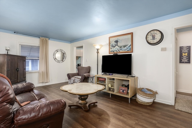 living room with hardwood / wood-style flooring