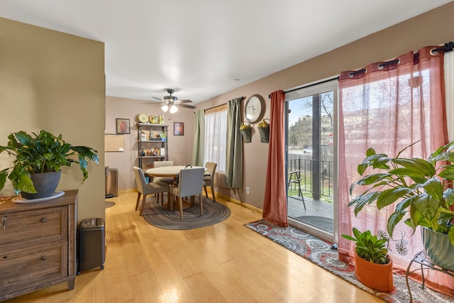 dining area with light hardwood / wood-style floors and ceiling fan