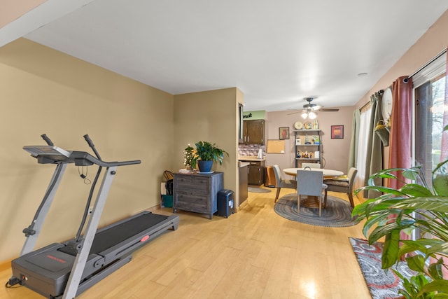 exercise room with ceiling fan and light wood-type flooring