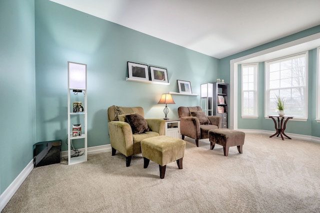 living area featuring carpet floors