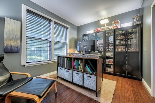 interior space with hardwood / wood-style flooring