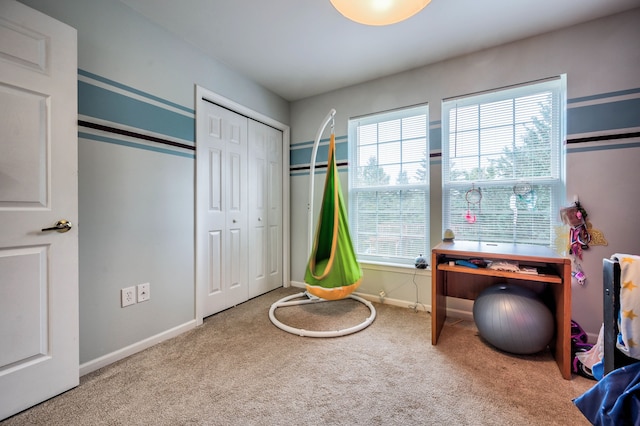 interior space with light colored carpet