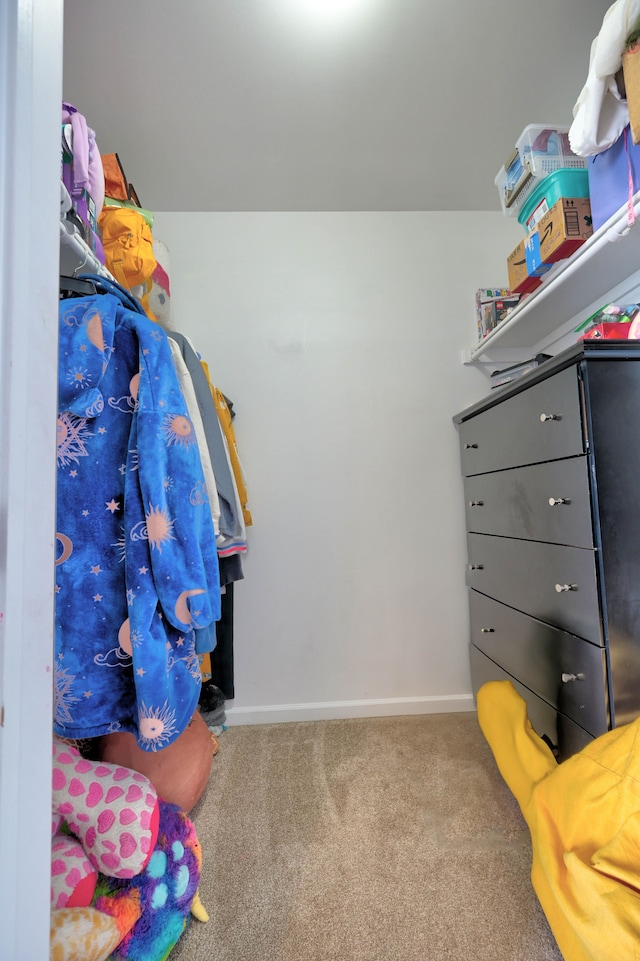 spacious closet with carpet flooring