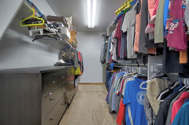 spacious closet with light carpet