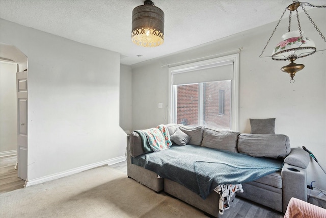 living room with carpet flooring and a textured ceiling