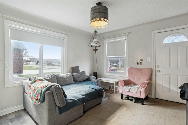 living room with wood-type flooring