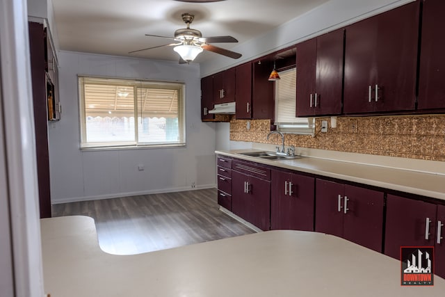 kitchen featuring tasteful backsplash, hardwood / wood-style flooring, ceiling fan, and sink