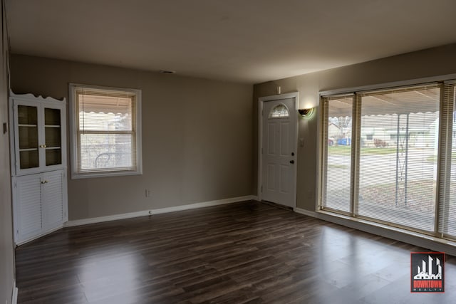 entryway featuring dark wood-type flooring