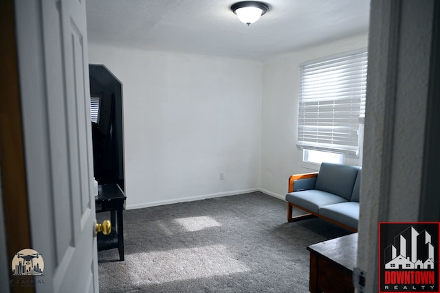 sitting room with carpet floors