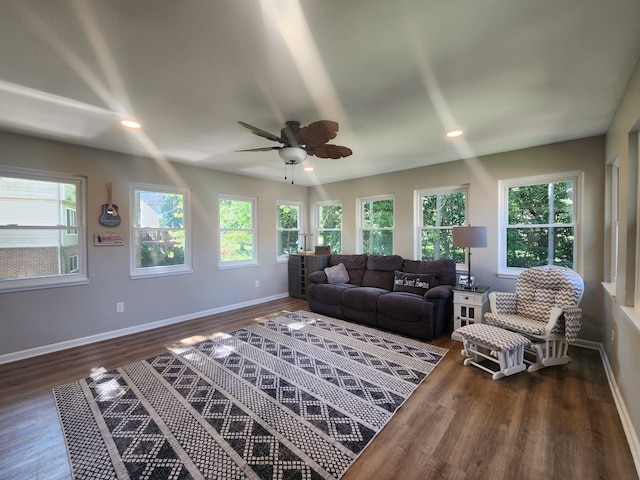 living room with plenty of natural light, dark wood-type flooring, and ceiling fan