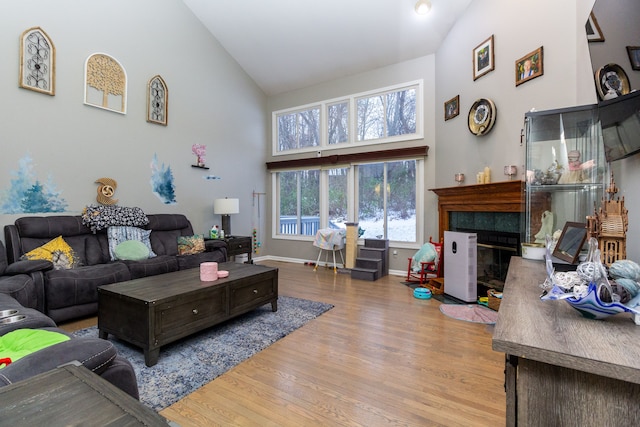 living room featuring high vaulted ceiling and light hardwood / wood-style flooring