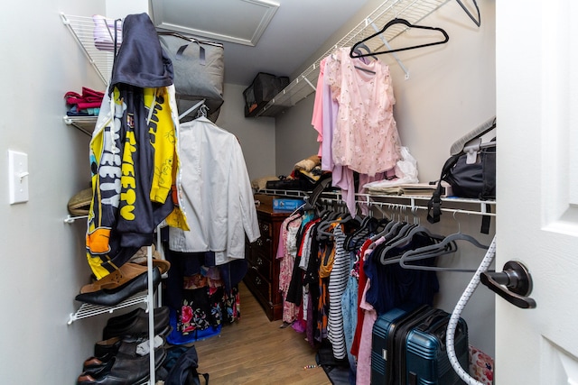 walk in closet with hardwood / wood-style floors