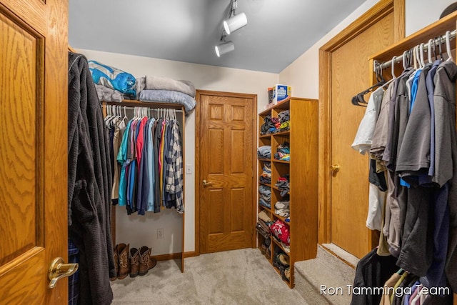 2187 Riley St, Hudsonville, MI 49426 - walk in closet with carpet