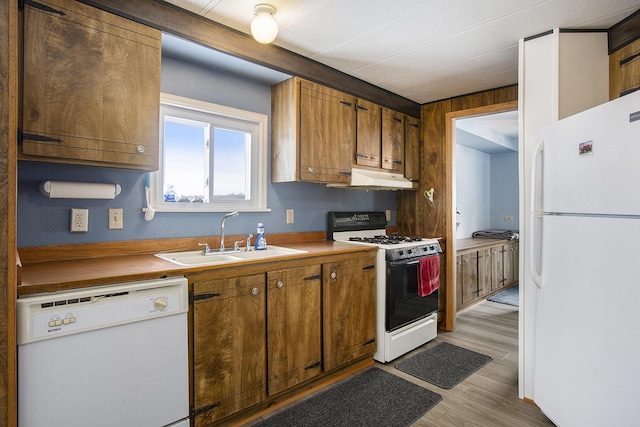 kitchen with white appliances, sink, and light hardwood / wood-style flooring