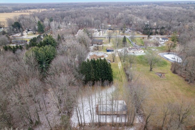 bird's eye view