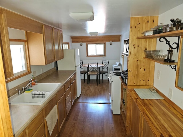 kitchen featuring dark hardwood / wood-style flooring, sink, and white appliances