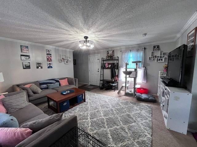 carpeted living room featuring ornamental molding, a textured ceiling, and a chandelier