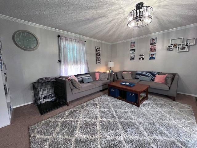 carpeted living room with ornamental molding and a textured ceiling