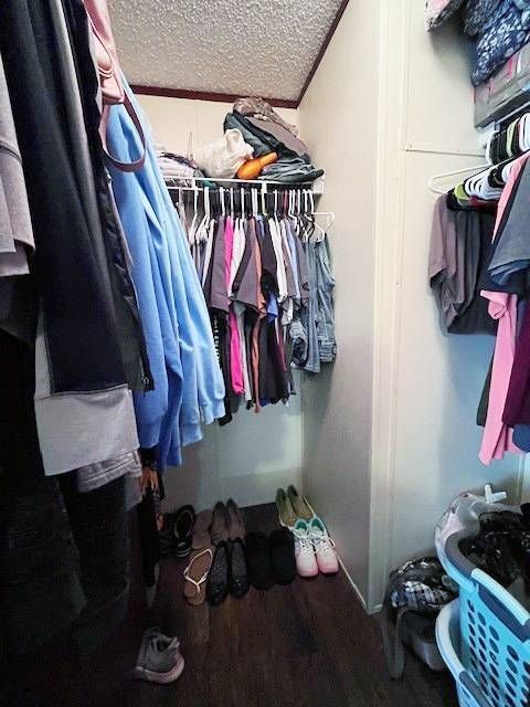 walk in closet featuring wood-type flooring