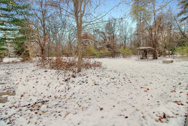 view of yard layered in snow