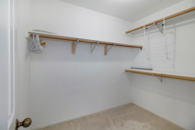 spacious closet with light carpet