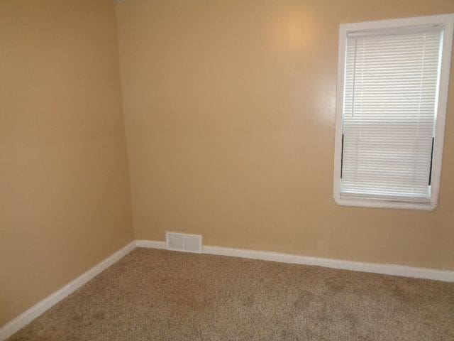 spare room with carpet