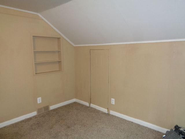 additional living space with carpet, built in shelves, and vaulted ceiling