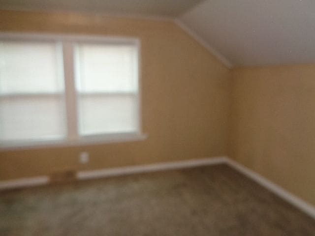 additional living space with carpet floors and lofted ceiling