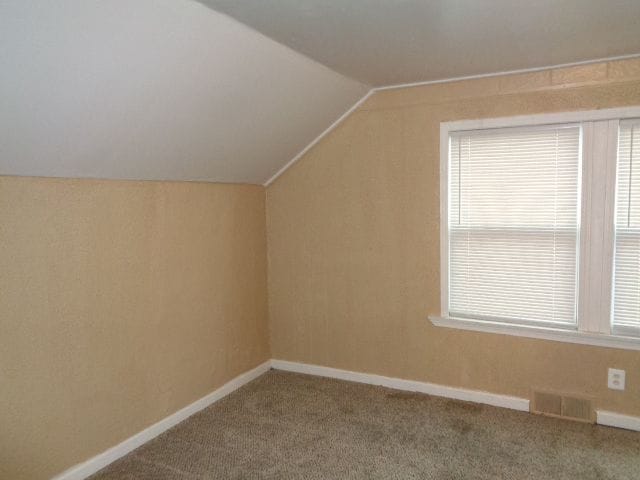 additional living space with carpet flooring and vaulted ceiling