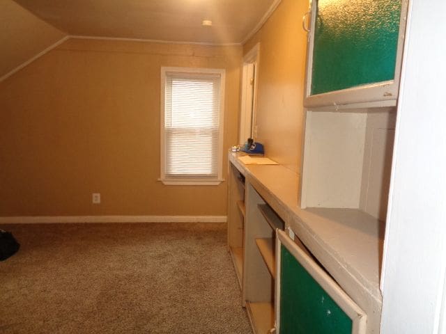 additional living space featuring light carpet and vaulted ceiling