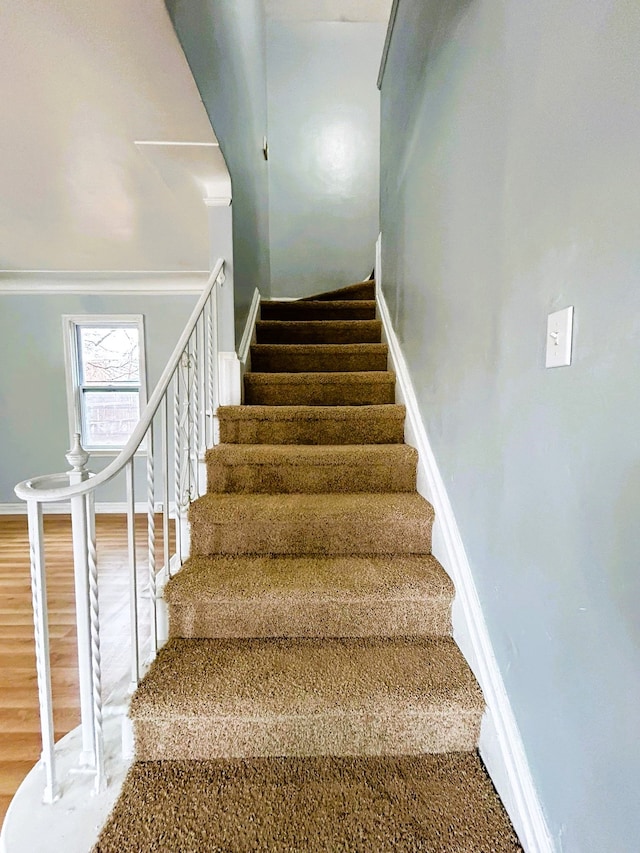 stairway featuring wood-type flooring