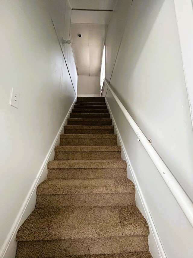 stairway with carpet flooring