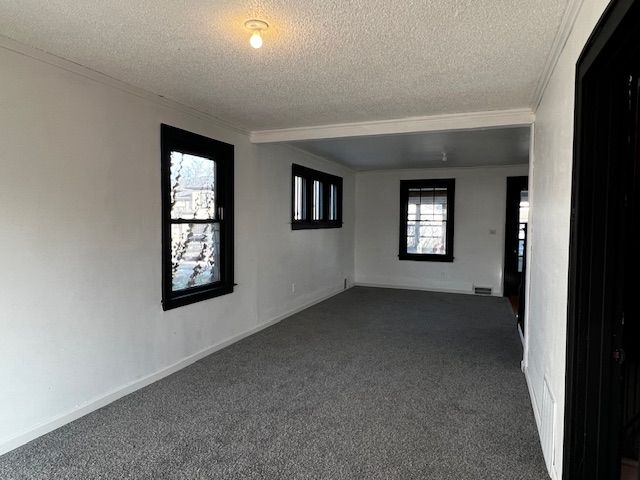 carpeted empty room with ornamental molding and a textured ceiling