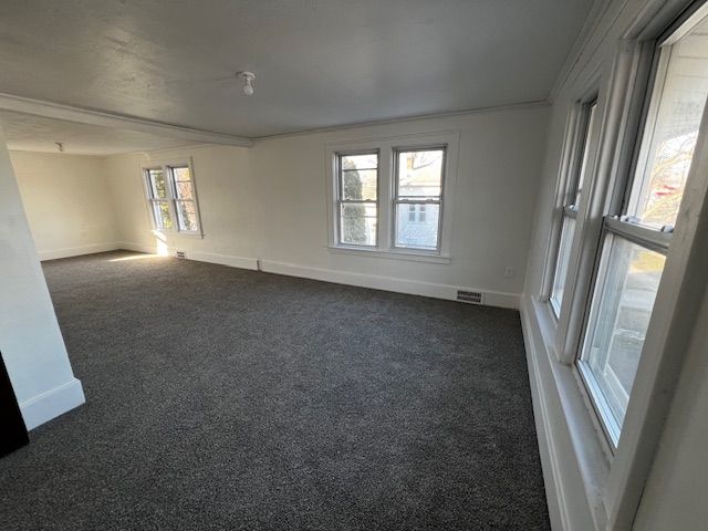 carpeted empty room featuring plenty of natural light