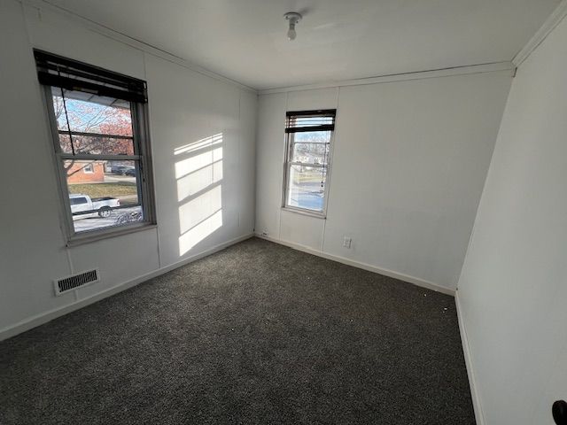 spare room featuring dark colored carpet, plenty of natural light, and crown molding