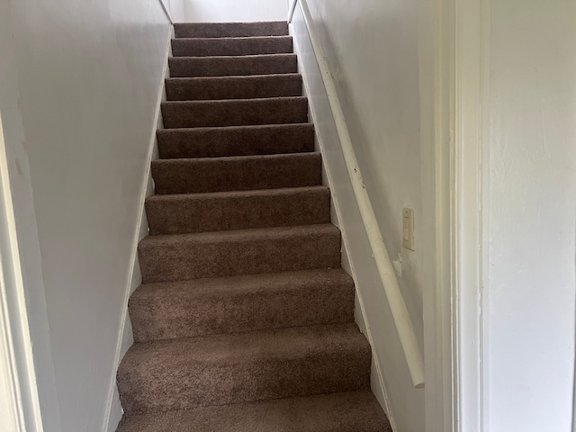 stairs featuring carpet