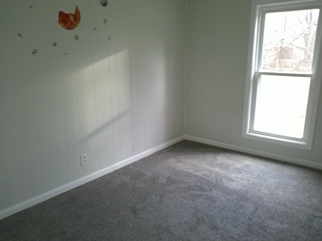 empty room featuring carpet floors