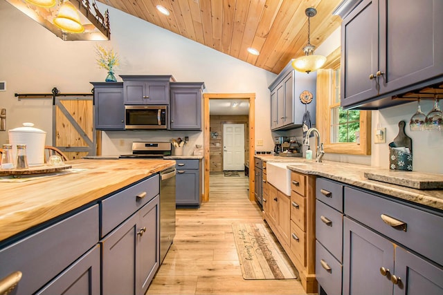 kitchen with pendant lighting, vaulted ceiling, a barn door, light hardwood / wood-style floors, and stainless steel appliances