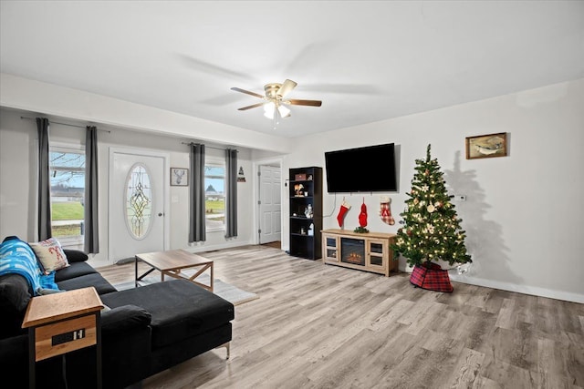 living room featuring ceiling fan and light hardwood / wood-style floors