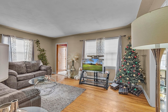 living room with hardwood / wood-style flooring