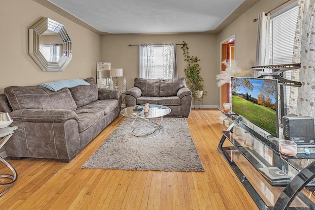 living room featuring wood-type flooring