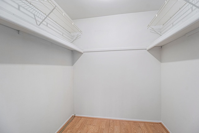 walk in closet with hardwood / wood-style flooring