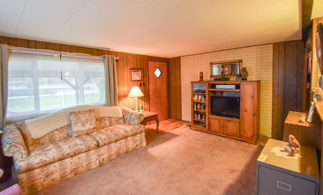 living room featuring carpet and wooden walls