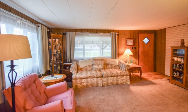 living room featuring carpet floors and wooden walls