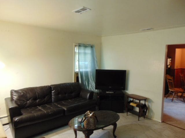 living room featuring light carpet and a baseboard radiator