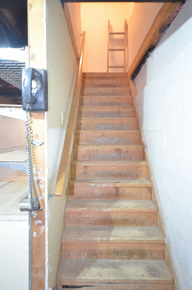 446 Lou Alice Dr, Columbiaville, MI 48421 - photo 31