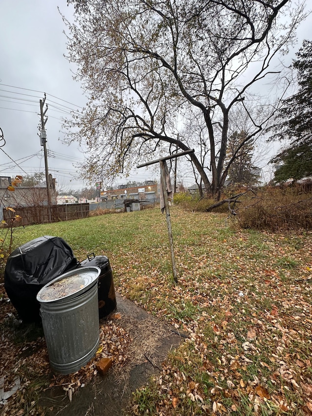 view of yard