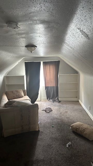 additional living space with vaulted ceiling, carpet floors, and a textured ceiling